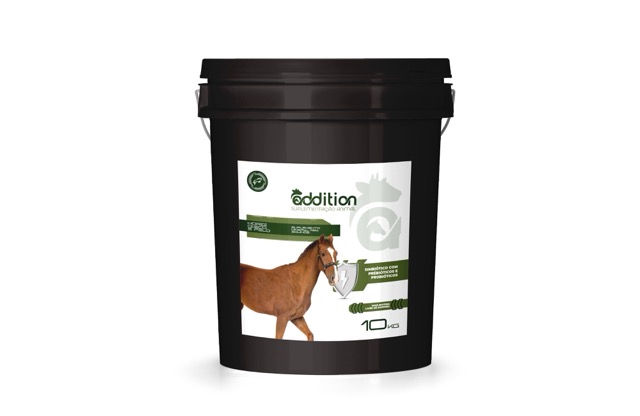 casco pele equino